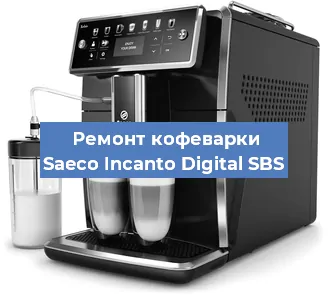 Чистка кофемашины Saeco Incanto Digital SBS от кофейных масел в Перми
